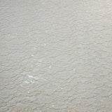 Tissu Dentelle Stretch, Paillettes - Floral , Lucendra