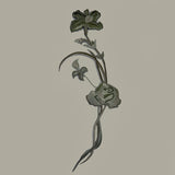 Empiècement - Floral Divers coloris, Fiorenzo