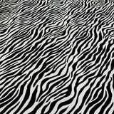 Tissu Canvas, Coton Stretch - Animalier, Savana