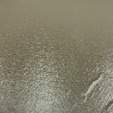 Tissu Jersey - Animalier Métallisé Or, Nyota