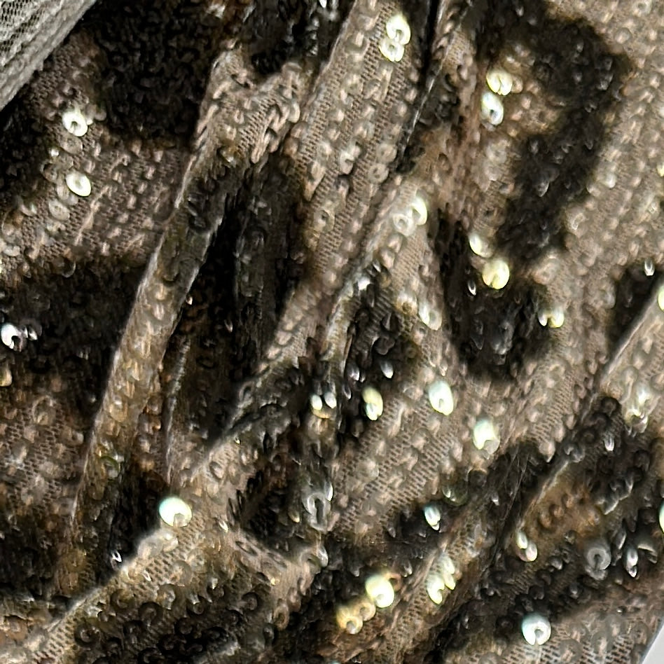Tissu Maille Mesh Résille Brodé, Paillettes - Patrizia